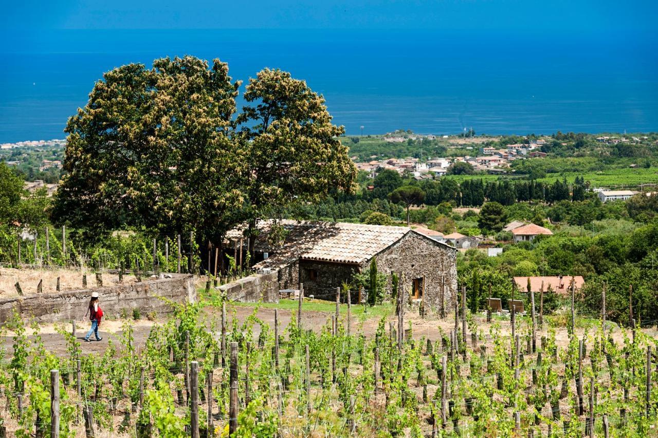 Monaci Delle Terre Nere Hotel Zafferana Etnea Buitenkant foto